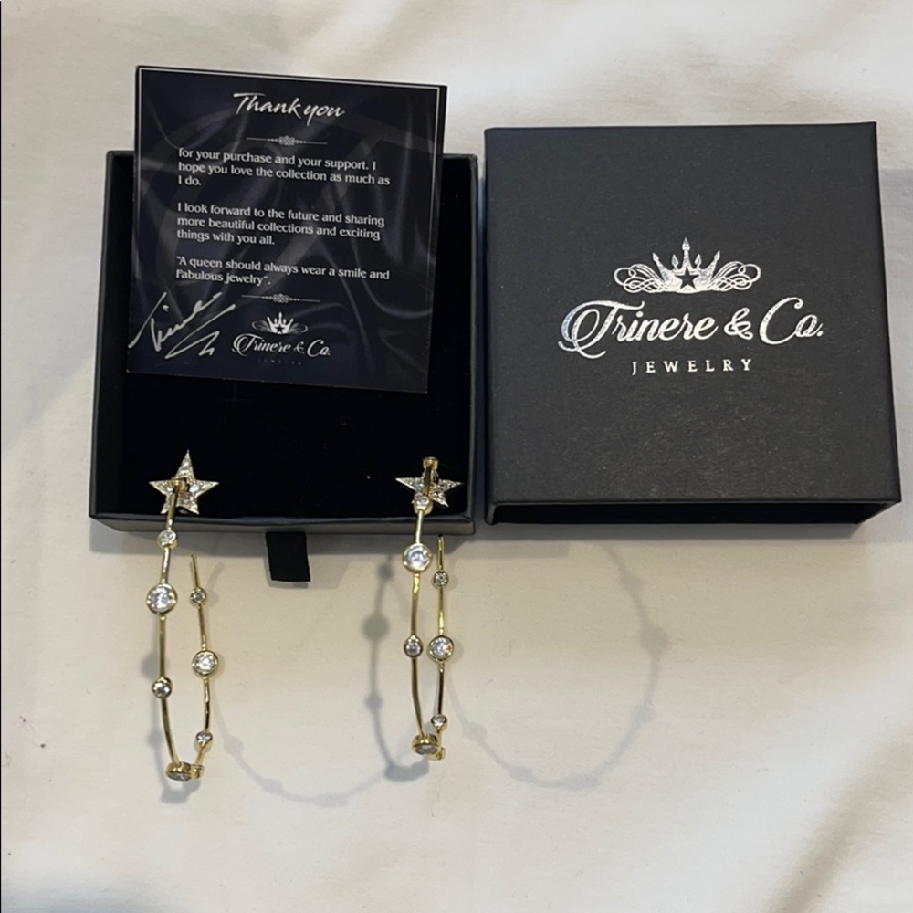 Trinere & Co Jewelry showstopper hoop earrings
